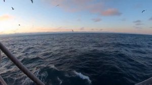 Работа на рыболовном судне. Как работать в качку?