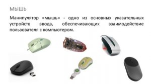 Информатика 7 класс. Персональный компьютер (УМК БОСОВА Л.Л., БОСОВА А.Ю.)