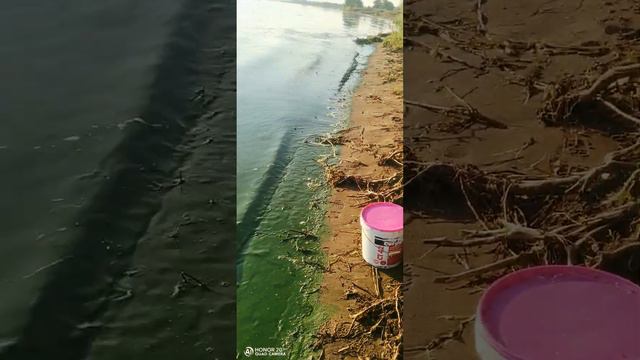 р. Кама цветёт, Зелёная вода смотреть онлайн