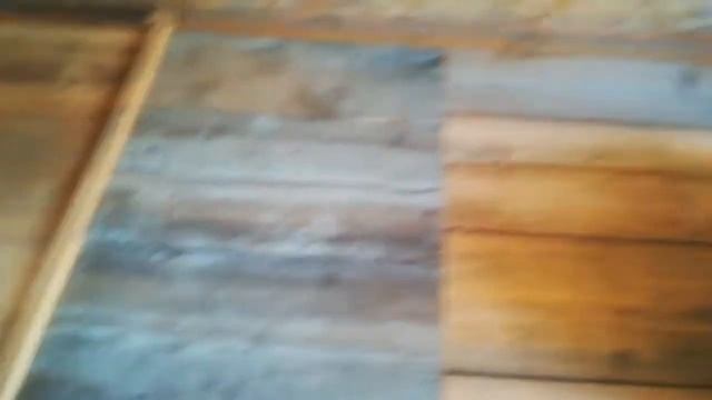 Как отработал бакфаст в апидомике?! смотреть онлайн