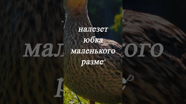 Две недели ... смотреть онлайн