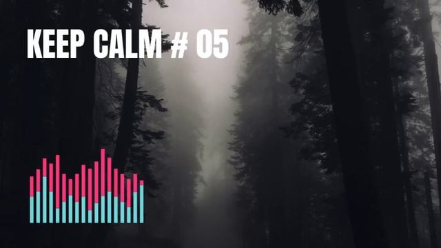 Beautiful Relaxing Music • Peaceful Piano Music & Guitar Music : Keep Calm #05 (Music) смотреть онлайн