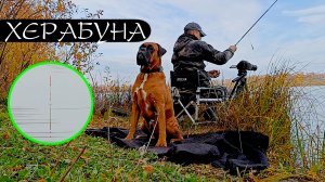 Он ждёт поклёвку. Я жду поклёвку. Карась.