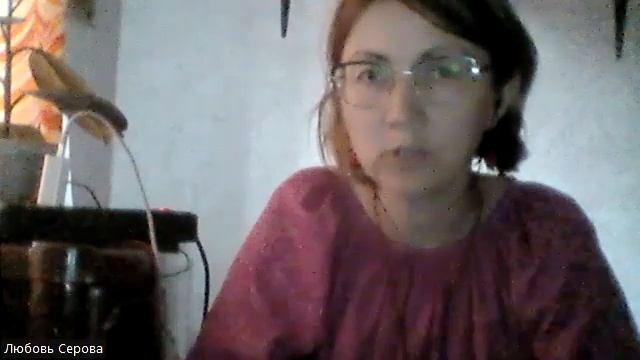 Проблемы семьи с позиции системного подхода. Любовь Серова. Лекция 2. Границы. Часть 3. смотреть онлайн