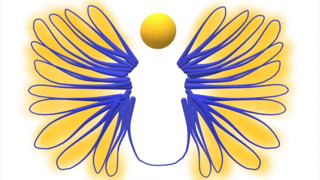 Gospel of Matthew Amplified Bible смотреть онлайн