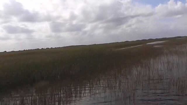 Everglades Air Boat 25-11-2013 смотреть онлайн
