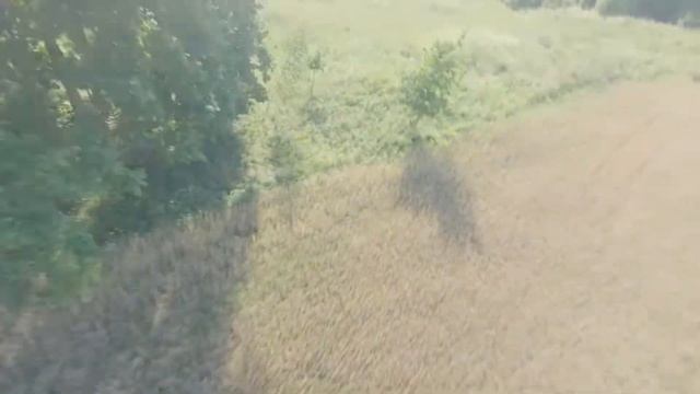 FPV showreel 2021 // Итог первого года FPV полетов смотреть онлайн