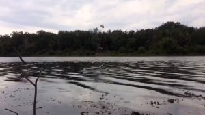 Косынка рвётся,сколько тут рыбы. Рыбалка на косынку