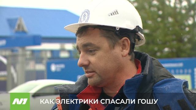 КАК ЭЛЕКТРИКИ СПАСАЛИ ГОШУ смотреть онлайн