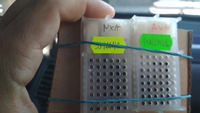 Получение племенного материала Карники из Польши! смотреть онлайн