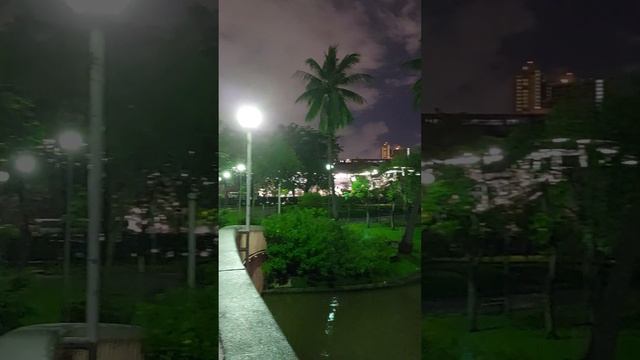 Today Walking around Chatuchak Park in Bangkok / 15 Sep 2022 смотреть онлайн