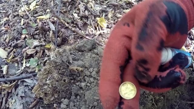 Поиск монет империи / XP Deus / Место где ранее поднял кладик