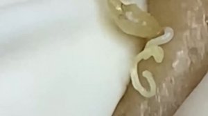 Lead A Happy Life #1572