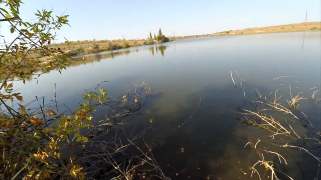 И снова на карпа! смотреть онлайн