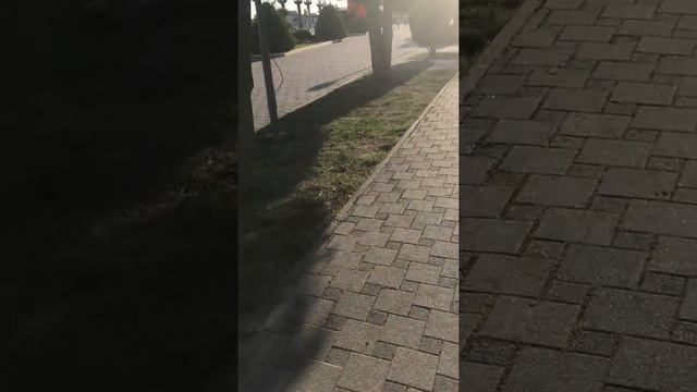 Холодное сердце. Как полюбить? смотреть онлайн