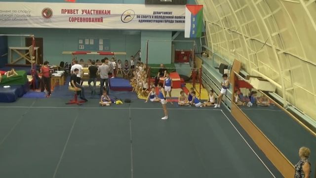 Произвольная программа 2-й взрослый . смотреть онлайн