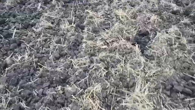 Рыхление почвы трактором джондир смотреть онлайн