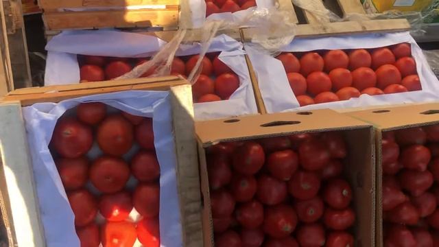 Санкт-Петербурге