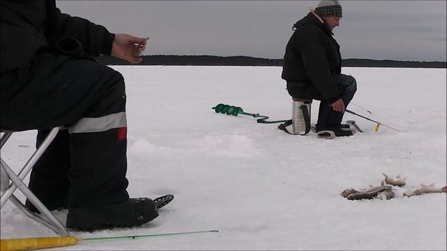 Подледная рыбалка на красноперку 2020 22 февраля. смотреть онлайн