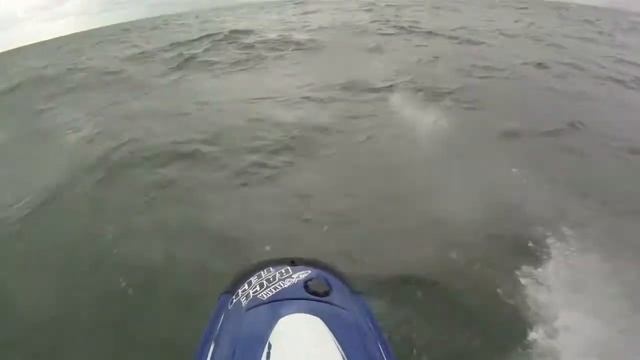 Chop Suey In The Bay