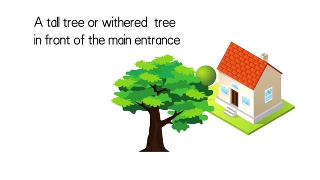 Front Door Feng Shui Problems & Remedies | Feng Shui Tips for Beginners смотреть онлайн