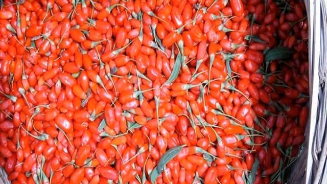 ягоды годжи википедия цена смотреть онлайн