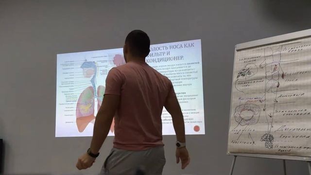 Лекция "Дыхательная система для тренеров" смотреть онлайн