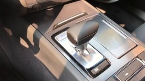 Косяки Генезис G80/ Genesis G80