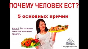 Почему человек ест? Пищевая ценность продуктов