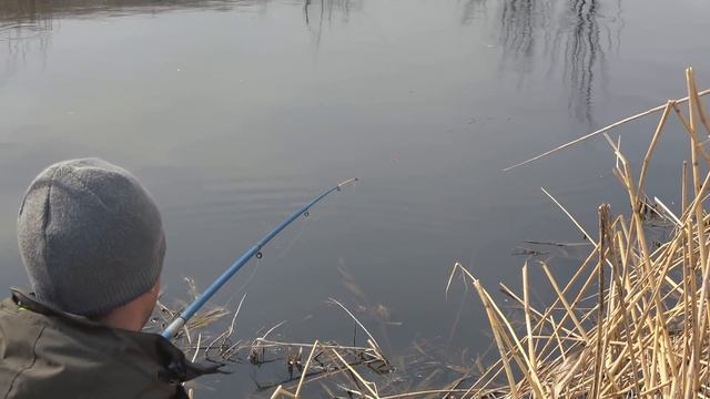 Где найти рыбу весной? РЫБАЛКА на ПОПЛАВОЧНУЮ УДОЧКУ в КАМЫШАХ смотреть онлайн