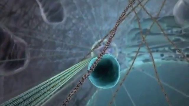 Внутренняя жизнь клетки (полнее, с пояснениями).flv смотреть онлайн