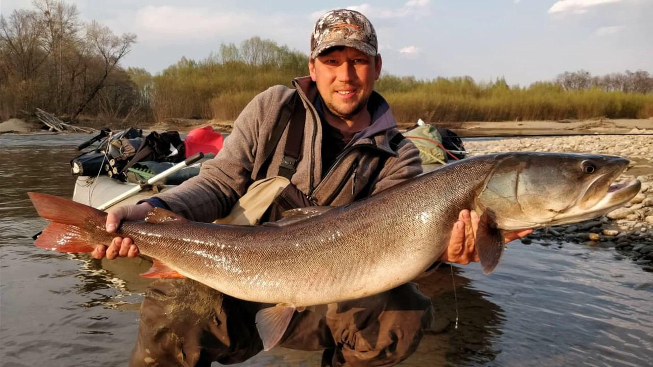 ролик для заставки канала смотреть онлайн