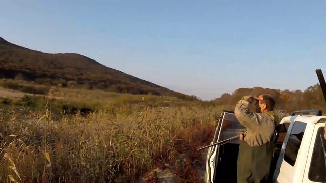 ПЛОХАЯ СОБАКА. Русский охотничий спаниель. Охота на уток. Охота на фазана. смотреть онлайн