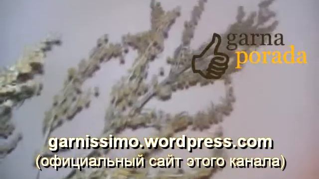 Как уберечь урожай картофеля в погребе от грызунов (мышей и крыс) смотреть онлайн