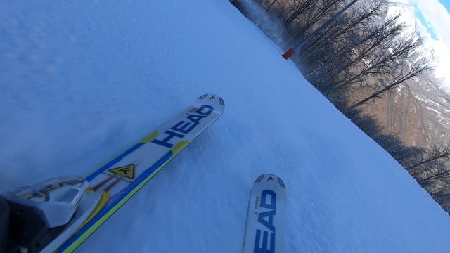 GH010717 20240124 Альпика FV