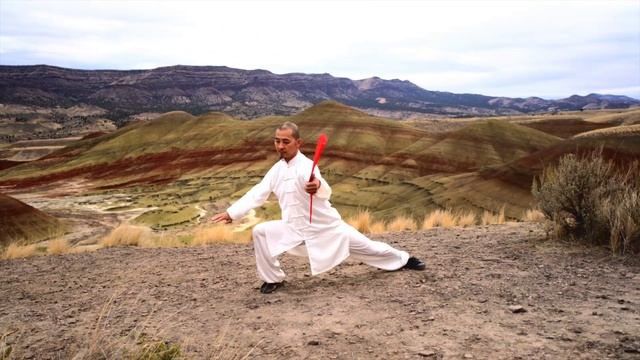 Chen Style Tai Chi Fan