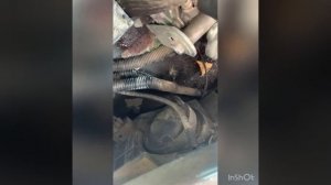 Замена лампы ближнего света на Нива Шевроле #заменалампочек