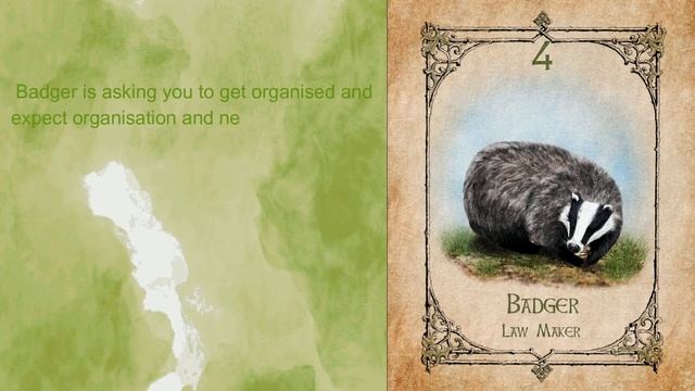 Badger Spirit Animal Message, Meaning & Symbolism. Animal Spirit Oracle смотреть онлайн