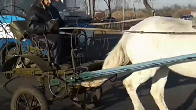 бедка, колесница смотреть онлайн