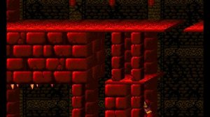 Prince of Persia | (Super Nintendo) |