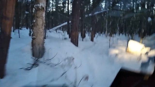 Жизнь в тайге. Удача на путиках. Отпустил соболя. Правда про Тунгус 600 смотреть онлайн