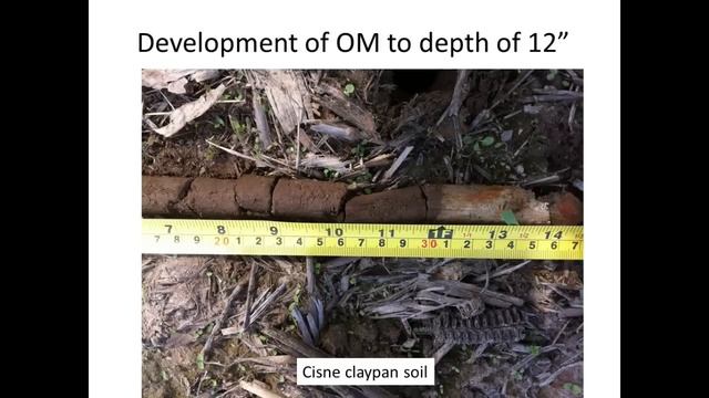 Mike Plumer: Benefits from Cover Crops Roots on Cash Crop Performance смотреть онлайн