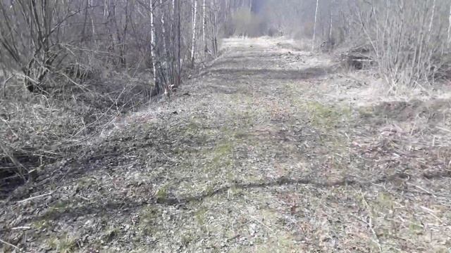 Husqvarna 555FX кусторез