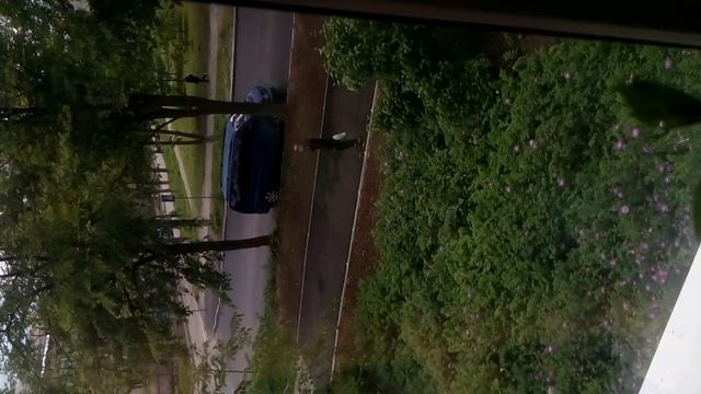 «Цыгане любят кольца, да кольца…»