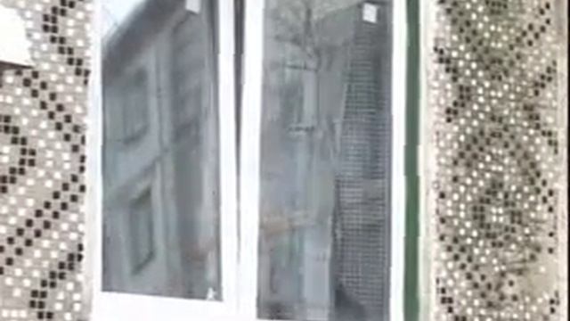 Общество защиты животных.flv смотреть онлайн