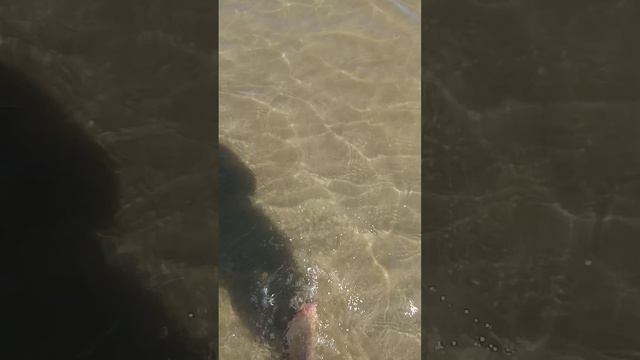 Море зовёт #рыбалка смотреть онлайн