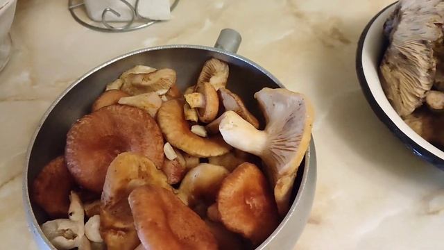 Идеи для оригинальных подарков