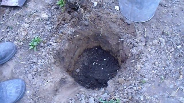 Необычный способ посадки зеленых растений смотреть онлайн