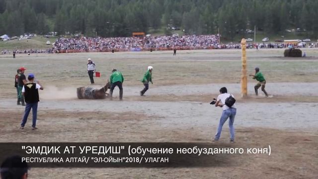 "ЭМДИК АТ УРЕДИШ" ОБУЧЕНИЕ НЕОБУЗДАННОГО КОНЯ! РЕСПУБЛИКА АЛТАЙ/ЭЛ-ОЙЫН 2018/УЛАГАН смотреть онлайн