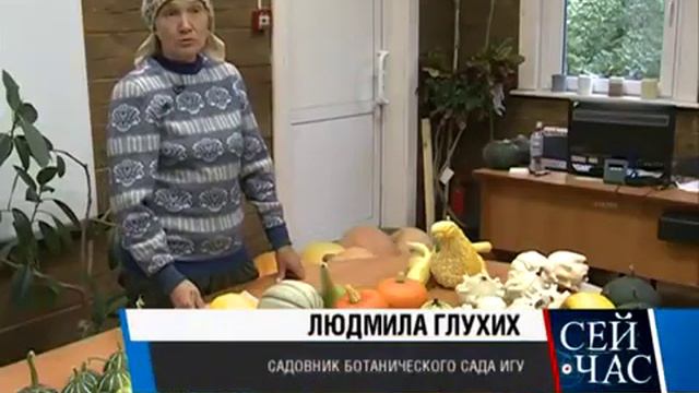 В Ботаническом саду ИГУ поспели овощи, фрукты и ягоды смотреть онлайн
